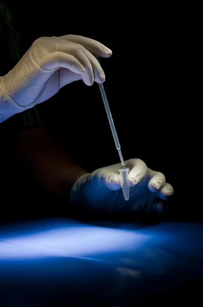 Hands in white gloves hold pipette — Stock Photo, Image