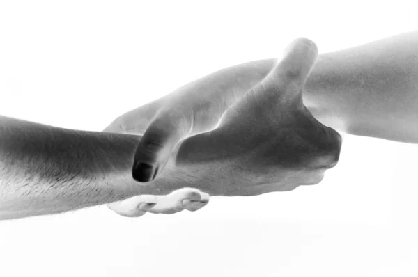 Руки соединяются друг с другом, как друзья приветствуют — стоковое фото