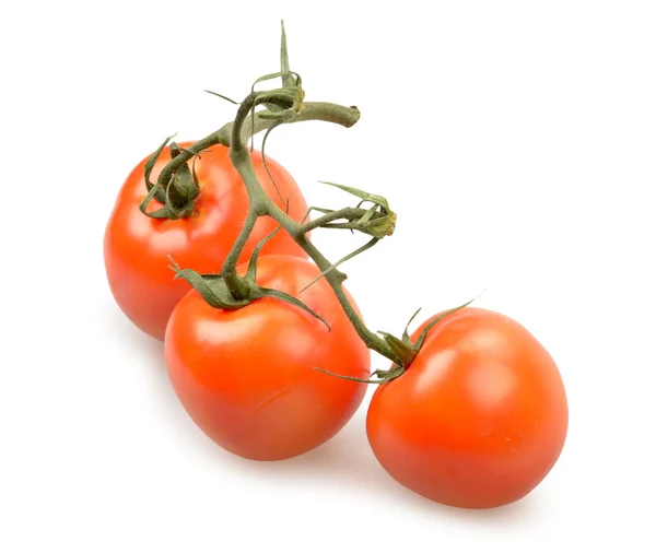 Tomater isolerade — Stockfoto