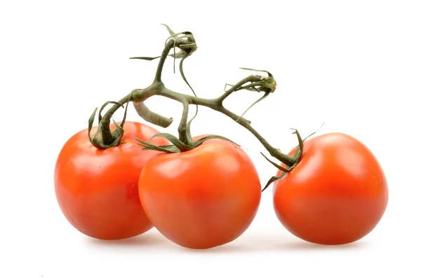 孤立的西红柿 — 图库照片