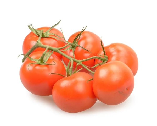 孤立的西红柿 — 图库照片