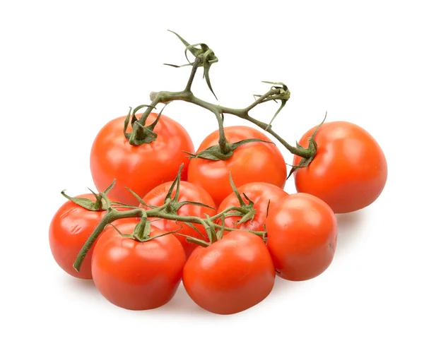 Tomates isolées — Photo