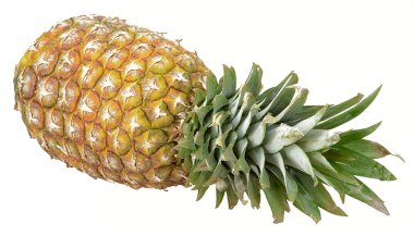 izole ananas