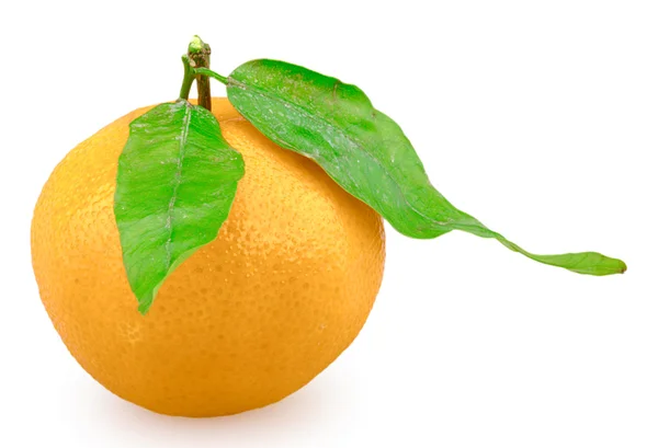 Mandarinka, samostatný — Stock fotografie
