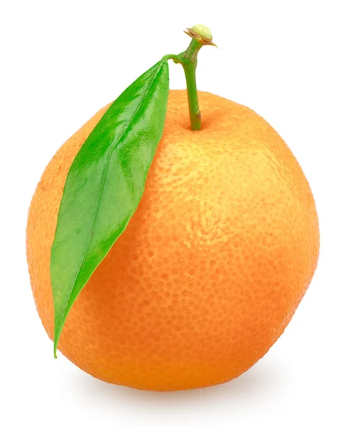 Mandarina aislada —  Fotos de Stock