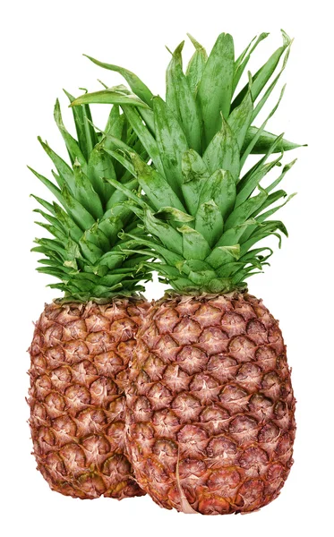 Ananas, samostatný — Stock fotografie