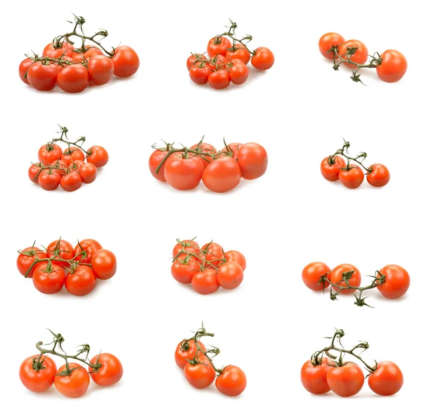 Sada rajčat — Stock fotografie