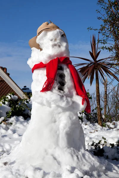 Snowman melting — Stock Photo, Image