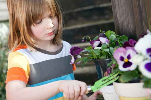 Ogrodnictwo Kwiaty ogrodowe dziecko sadzenia roślin — Zdjęcie stockowe