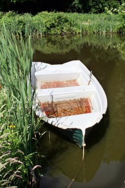 kürek teknesi Nehri