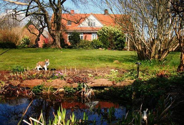 Casa granja jardín Dinamarca —  Fotos de Stock