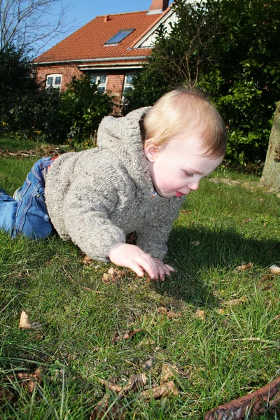Criança jardim gramado rastejando — Fotografia de Stock