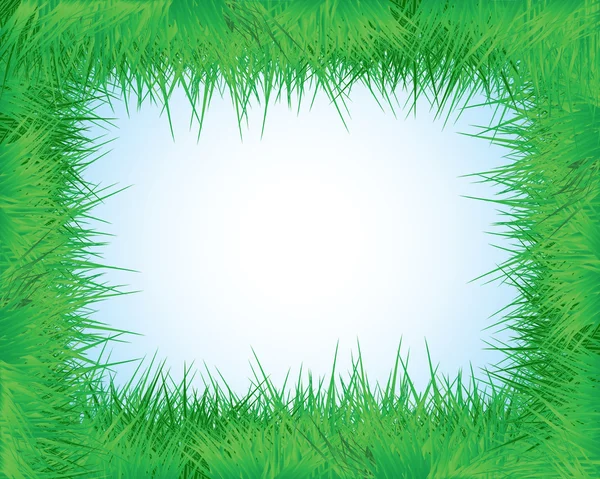 El marco de la hierba — Archivo Imágenes Vectoriales