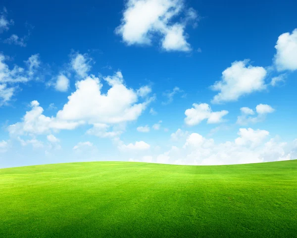 Pole trávy a dokonalé nebe — Stock fotografie
