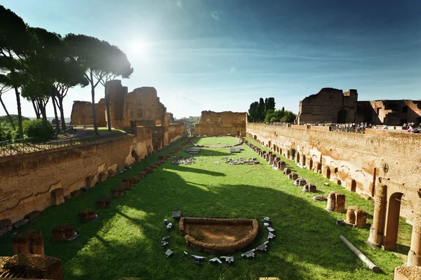Ερείπια του σταδίου domitanus στο Παλατίνου Λόφου στη Ρώμη, Ιταλία — Φωτογραφία Αρχείου