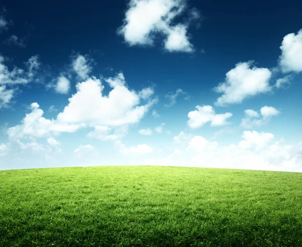 草の野と完璧な空 — ストック写真
