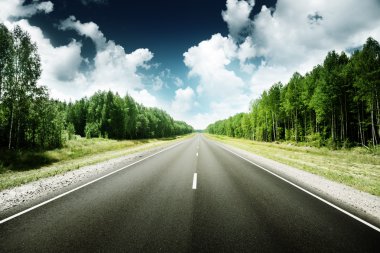 Road in forest clipart