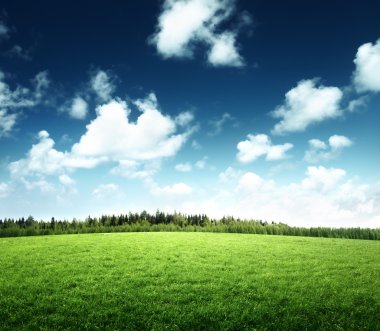 Field of grass and perfect sky clipart