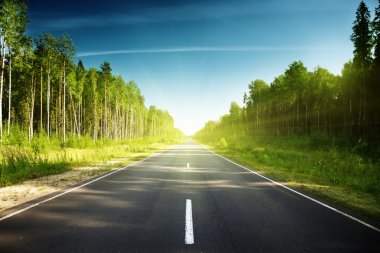 Road in Russian forest clipart