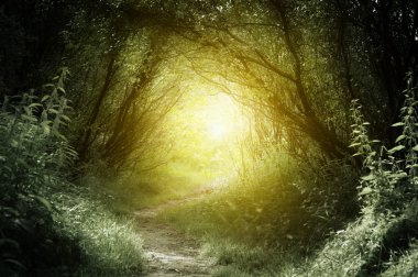 Way in deep forest clipart
