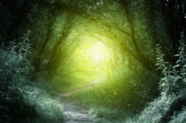 Way in deep forest clipart