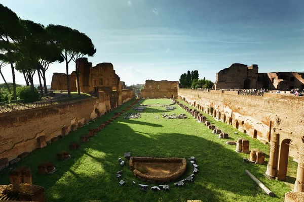 stock image Ruins of Stadium Domitanus at the Palatine Hill in Rome, Italy