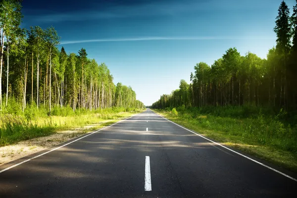 Estrada na floresta russa — Fotografia de Stock