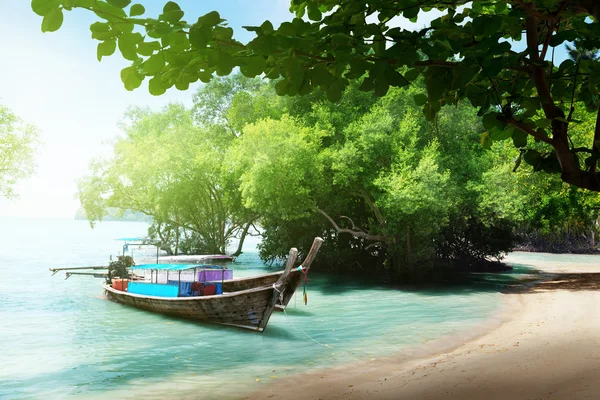 Long bateaux sur la plage en Thaïlande — Photo