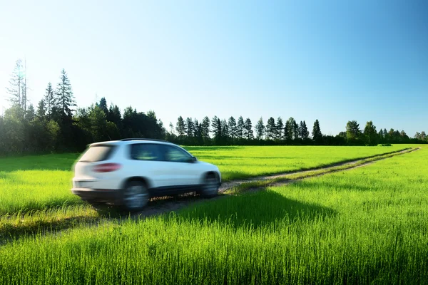 Lente veld en blured auto op grond weg — Stockfoto