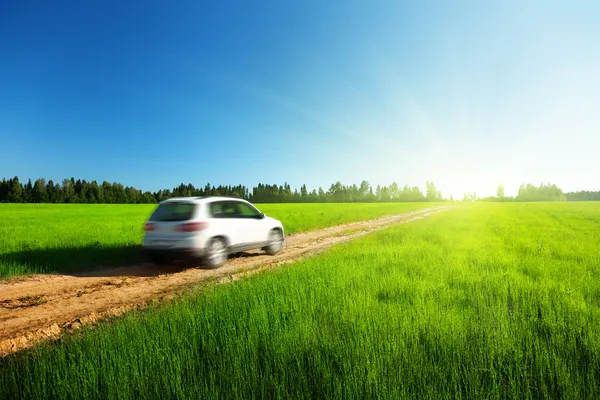 Spring field and blured car on ground road — Stock Photo, Image