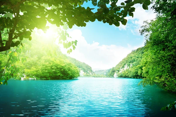 Lake in deep forest Stock Picture