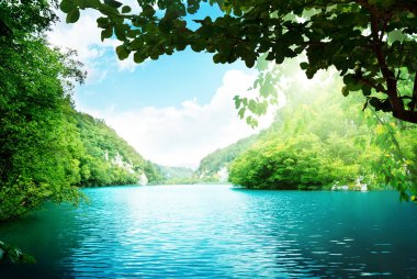 Lake in deep forest clipart