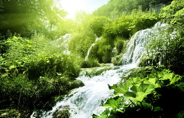 Wasserfall im tiefen Wald — Stockfoto