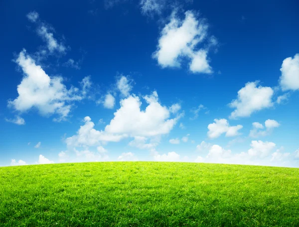 Zielone pola i słoneczny dzień — Zdjęcie stockowe