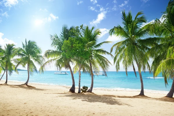 Пляж острова Каталина в Доминиканской республике — стоковое фото