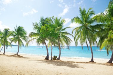 Beach of Catalina island in Dominican republic clipart