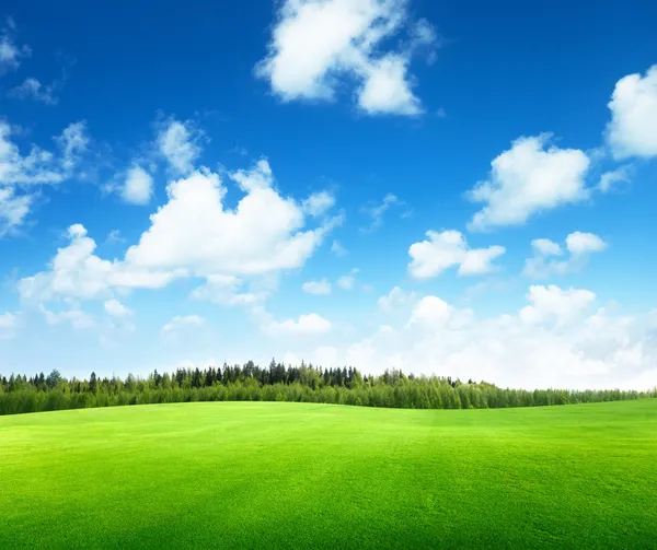 Campo d'erba e cielo perfetto — Foto Stock