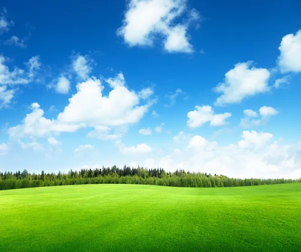 Campo de grama e céu perfeito — Fotografia de Stock