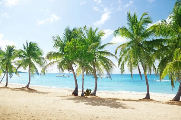 Beach of Catalina island in Dominican republic Royalty Free Stock Images
