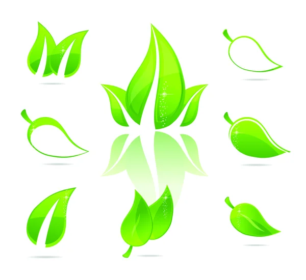 Naturaleza elegancia verde eco hojas conjunto — Archivo Imágenes Vectoriales