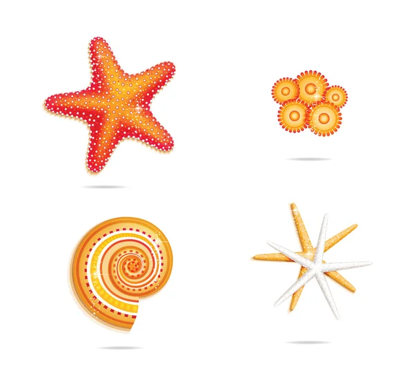Conjunto de símbolos de estrellas marinas tropicales — Archivo Imágenes Vectoriales