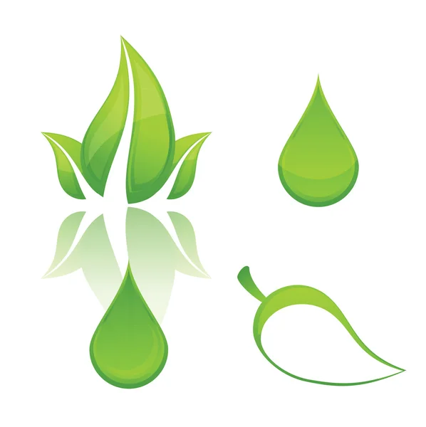 Příroda a eco zelená značka leafs sada — Stockový vektor