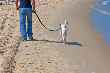 Beach clipart