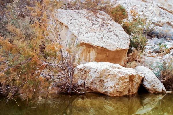 Escena del desierto con agua — Foto de Stock