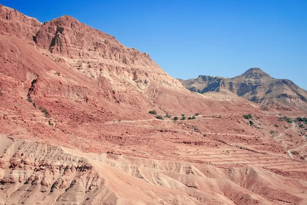 Desert landscape (Biblical scene) — Stock Photo, Image