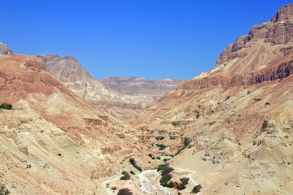 Desert landscape — Stock Photo, Image