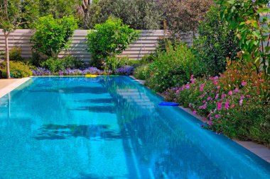 Swimming pool with flowers clipart