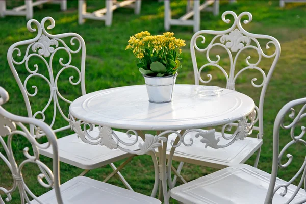 Желтые цветы в ведре на белом столе в саду — стоковое фото