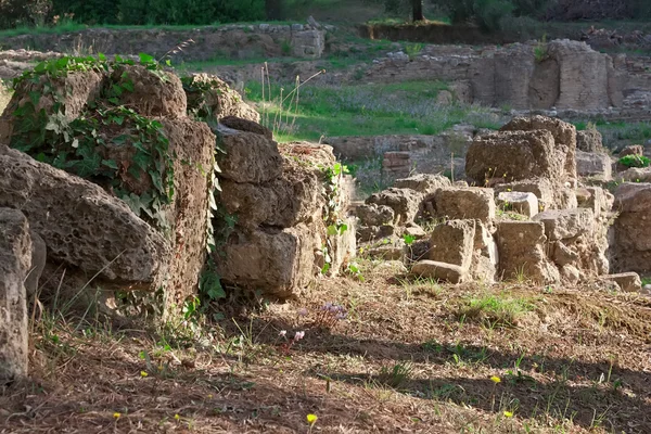 Archeologická lokalita olympia, Řecko. — Stock fotografie
