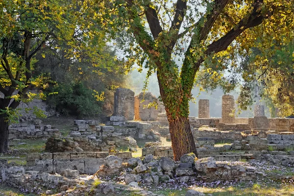 stock image Archaeological Site of Olympia, Greece.